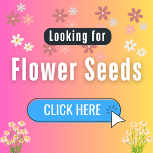 Flower Seed Offers