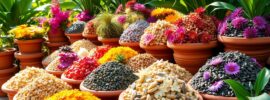 flower seeds