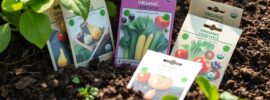 vegetable seeds online