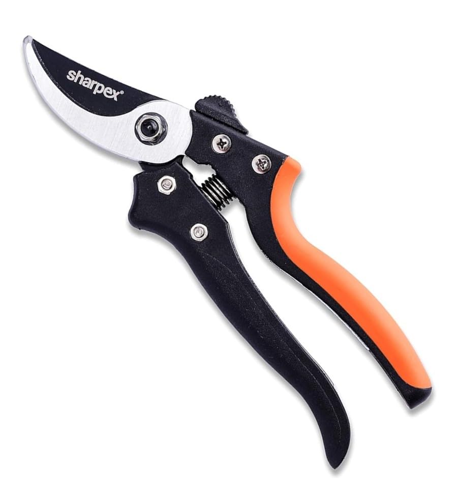 Best Pruning Cutters for Plants