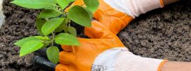 Cinagro Best Gardening Gloves